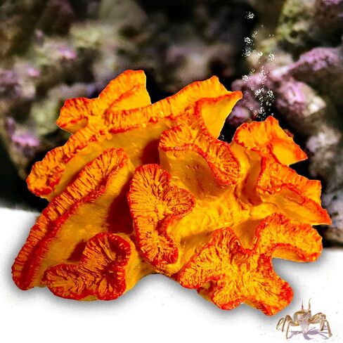 Besimple Aquarium Coral Ornaments Decor Fish Tank Plants Decoration for Aquarium Landscape,Purple in Saudi Arabia
