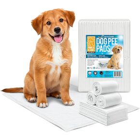 Paws & Claws Premium Dog Pee Pads ، صغير 17 "x20" ، 50 Count-6 طبقات مقاومة للتسرب ، يحمل 4 أكواب ، تجفيف سريع وسري