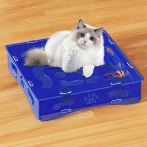ألعاب Indoor Cat Interactive Toys و Cats التي تشارك لعبة Cat Ball Toy للاختراق الإثراء إكسسوارات ألعاب التخصيب المضمّنة لمجموعة Feline Friend Friend Friend و Interactive Toys