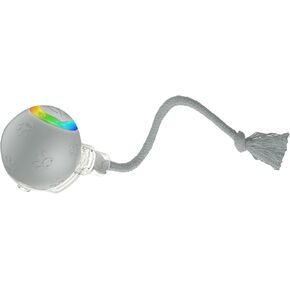 لعبة Cat Ball التفاعلية مع الأضواء الوامضة وأصوات الطيور-أسطوانة تكيفية متعددة السطح ، دعابة قطط قابلة للتنشيط بحركة USB القابلة لإعادة الشحن للقطط الداخلية ، هدية إثراء ذكية (رمادي) in Kuwait