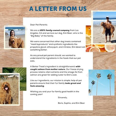 A Better Treat – Freeze Dried Salmon Dog Treats, Wild Caught, Single Ingredient | Natural High Value | Gluten Free, Grain Free, High Protein, Diabetic Friendly | Natural Fish Oil | Made in The USA in Kuwait