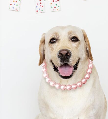 Chunky Pearl Dog Necklace (Beads 19mm) with Strong Stainless Steel Wire Rope, Elegant Adjustable Pearl Collar Jewellery Accessories for Large Dogs in Kuwait