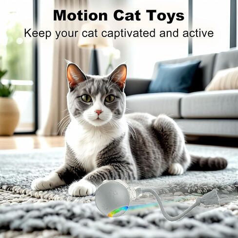 لعبة Cat Ball التفاعلية مع الأضواء الوامضة وأصوات الطيور-أسطوانة تكيفية متعددة السطح ، دعابة قطط قابلة للتنشيط بحركة USB القابلة لإعادة الشحن للقطط الداخلية ، هدية إثراء ذكية (رمادي) in Kuwait