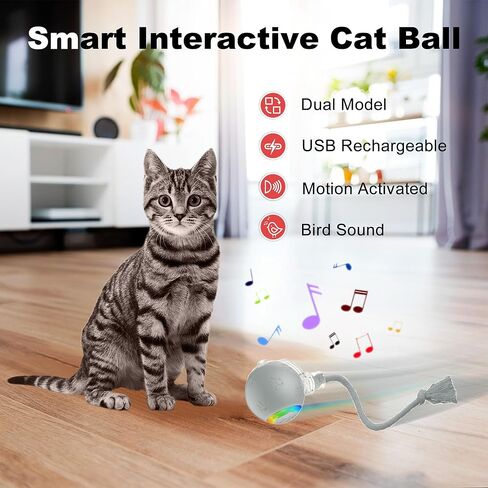 لعبة Cat Ball التفاعلية مع الأضواء الوامضة وأصوات الطيور-أسطوانة تكيفية متعددة السطح ، دعابة قطط قابلة للتنشيط بحركة USB القابلة لإعادة الشحن للقطط الداخلية ، هدية إثراء ذكية (رمادي) in Kuwait