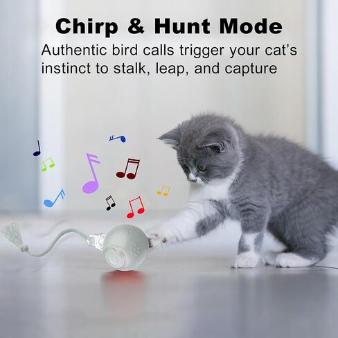 لعبة Cat Ball التفاعلية مع الأضواء الوامضة وأصوات الطيور-أسطوانة تكيفية متعددة السطح ، دعابة قطط قابلة للتنشيط بحركة USB القابلة لإعادة الشحن للقطط الداخلية ، هدية إثراء ذكية (رمادي) in Kuwait