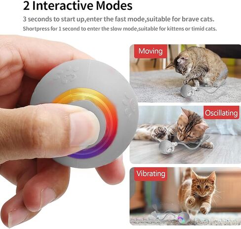 لعبة Cat Ball التفاعلية مع الأضواء الوامضة وأصوات الطيور-أسطوانة تكيفية متعددة السطح ، دعابة قطط قابلة للتنشيط بحركة USB القابلة لإعادة الشحن للقطط الداخلية ، هدية إثراء ذكية (رمادي) in Kuwait