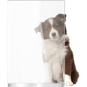 Transparent Dog Door Replacement Flaps 9.75" x 17", Pet Door Replacement Flap Fit Dogs up to 65 lbs, Doggie Door Replacement Flap Compatible with Ideal Products Designer Series DSRWXL, DSARWXL