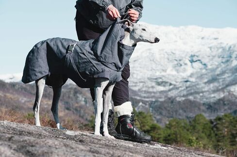 Hurtta Expedition Parka, Winter Dog Coat, BlackBerry, 14 in in Kuwait