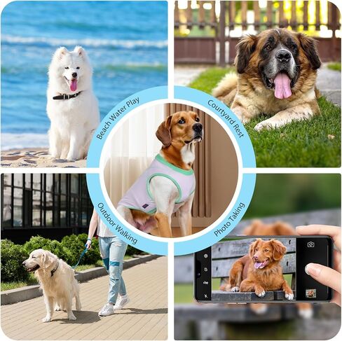 2 Pack Dog Summer Clothes Color Blocking Dogs' Shirts for Medium/Large Dogs Stretchable Cooling Vest Breathable Sun Protection Shirt Pet Tank Top Fashion & Bright Color for Boys and Girls in Saudi Arabia