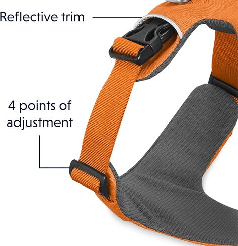Ruffwear ، تسخير الكلب في المدى الأمامي ، قشور كل يوم مبطن ناعم مع مقاطع مقود مزدوجة ، قابلة للتعديل وخفيفة الوزن للتدريب أو المشي لجميع الكلاب ، الرمادي الشفق ، المتوسط in Kuwait