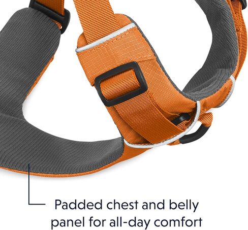 Ruffwear ، تسخير الكلب في المدى الأمامي ، قشور كل يوم مبطن ناعم مع مقاطع مقود مزدوجة ، قابلة للتعديل وخفيفة الوزن للتدريب أو المشي لجميع الكلاب ، الرمادي الشفق ، المتوسط in Kuwait