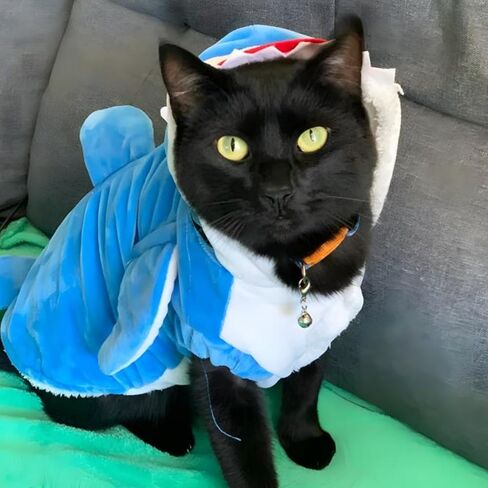 Cat Shark Assume - Dog Halloween Comple Winter Pet Hoodie Holiday Cospaly Coatp for Cats and Small Mediance Pets (Gray ، XS) in Kuwait