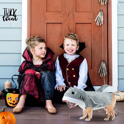 Cat Shark Assume - Dog Halloween Comple Winter Pet Hoodie Holiday Cospaly Coatp for Cats and Small Mediance Pets (Gray ، XS) in Kuwait
