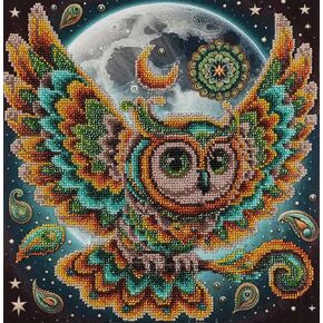 Allaboutembroiderereryua Bead Embroidery Kit Fairy Owl DA-2110 Beaded Cross Stitch Needlework Beadart