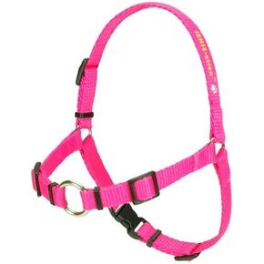 SENSE-ation No-Pull Dog Harness - Red with Black Small by Softouch in Kuwait