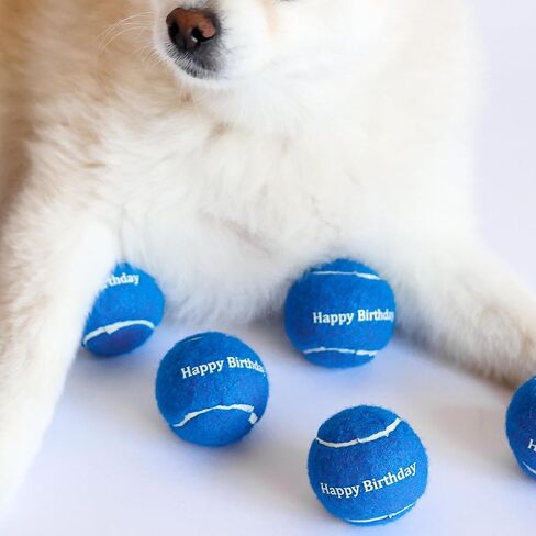 Midlee Happy Birthday Dog Tennis Balls (6 Pack) (Regular, Blue) in Kuwait
