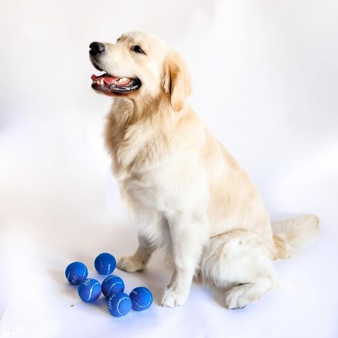 Midlee Happy Birthday Dog Tennis Balls (6 Pack) (Regular, Blue) in Kuwait