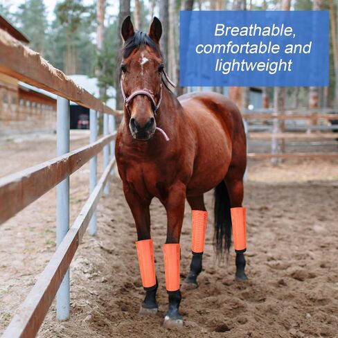 Set of 8 Mesh Fly Boots for Horse Breathable Mesh Horse Boots Protective Loose Wraps Adjustable for Preventing Legs Reduces Flies and Mosquitoes Bites(Orange, Pink,L) in Saudi Arabia