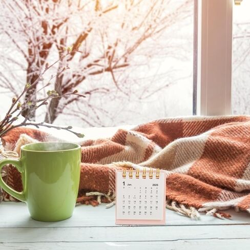 Mini Desk Calendar 2025 Small Desktop Salendar Standing Flip Fabletop Talendar Twin Twin Clinting Daily Planner Monthly Calendar Pink in Kuwait