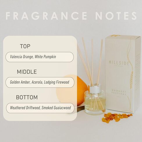 Welcome Home Reed Diffusers, Oil Diffusers for Home, Premium Fragrance Oil Air Freshener, Tart Lemon Fragrance with Spiced Notes of Cinnamon & Clove (6.7 Fl Oz) in Saudi Arabia