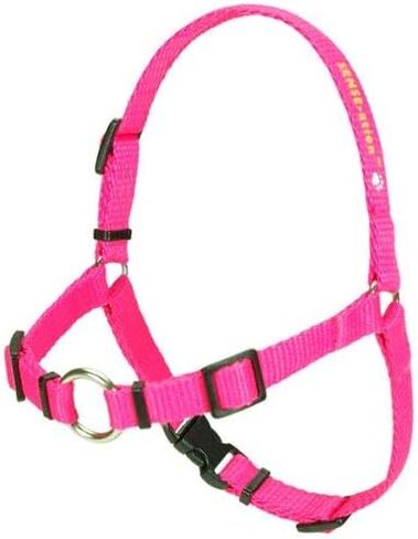 SENSE-ation No-Pull Dog Harness - Red with Black Small by Softouch in Kuwait