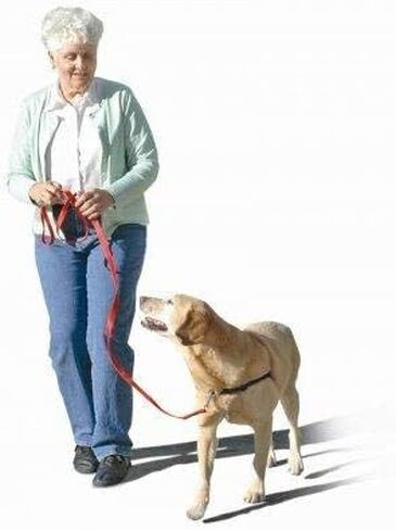 SENSE-ation No-Pull Dog Harness - Red with Black Small by Softouch in Kuwait