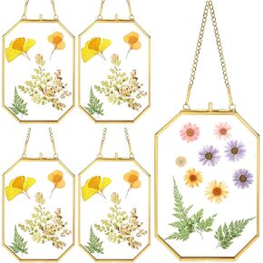 4 Pieces Hanging Gold Glass Floating Frame 4 x 6 Inch Octagon Brass Herbarium Glass Frame Double Clear Pressed Flower Frames for Plant Specimen Artwork Display Photo Dried Flowers Home DIY Decor