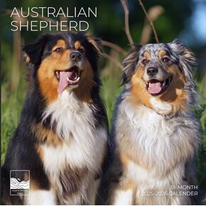 يوليو 2025- ديسمبر 2026 Pugs Wall Calendar 18 شهرًا | 12 "× 24" مفتوحة | تقويم الكلب القابل للهدية 2026 | ورقة سميكة وثيقة للتنظيم والتخطيط | Pacific Waters Press (Pugs) in Kuwait