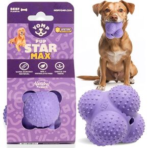 لعبة Yomp Pupstar Max Dog Toy-كرة نار ، كذاب مع Nubbins لصحة الأسنان ، غسالة الصحون آمنة