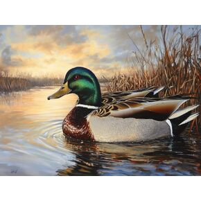 Mallard Wild Duck Stamped Cross Stitch Kits for Beginners Adults - Preprinted 11CT Easy Pattern Needlepoint Kits, Arts and Crafts for Home Decor (11.8x15.7inch) 3