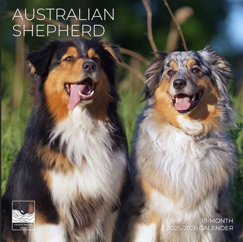 يوليو 2025- ديسمبر 2026 Pugs Wall Calendar 18 شهرًا | 12 "× 24" مفتوحة | تقويم الكلب القابل للهدية 2026 | ورقة سميكة وثيقة للتنظيم والتخطيط | Pacific Waters Press (Pugs) in Kuwait
