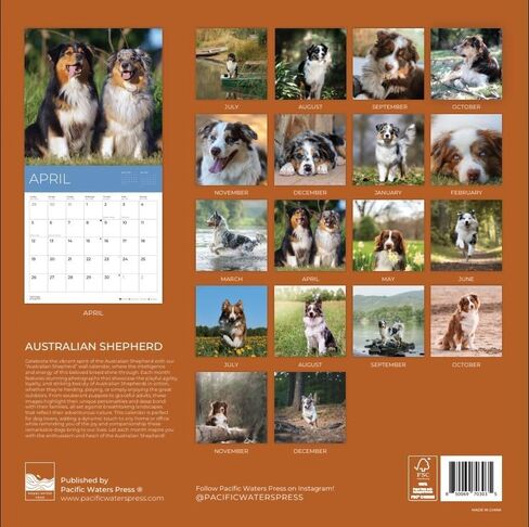يوليو 2025- ديسمبر 2026 Pugs Wall Calendar 18 شهرًا | 12 "× 24" مفتوحة | تقويم الكلب القابل للهدية 2026 | ورقة سميكة وثيقة للتنظيم والتخطيط | Pacific Waters Press (Pugs) in Kuwait