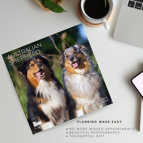 يوليو 2025- ديسمبر 2026 Pugs Wall Calendar 18 شهرًا | 12 "× 24" مفتوحة | تقويم الكلب القابل للهدية 2026 | ورقة سميكة وثيقة للتنظيم والتخطيط | Pacific Waters Press (Pugs) in Kuwait