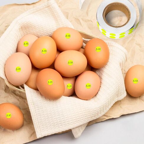 PARLAIM 1/4 inch Fluorescent Yellow Dot Stickers, 1000pcs Colored Sticker for Color Coding Label in Saudi Arabia