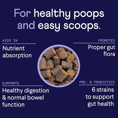 Finn Digestive Probiotics for Dogs - Complete Digestive System Support with Pumpkin, Prebiotics, & Live Probiotics - Vet Recommended & Made in The USA - 90 Soft Chews in Kuwait