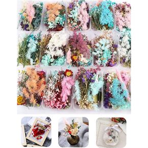 3 Packs Real Natural Dried Flowers for Making Mobile Phone Case Candle Handmade Crafts Epoxy Resin Pendant Necklace Jewelry DIY Accessories,Mixed Multi-Color Dried Flowers(Random Shipping 3 Packs)