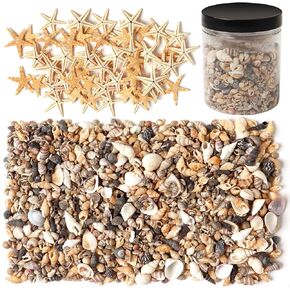 1000+ Pieces Tiny Sea Shells & Starfish for DIY Crafts and Vase Filler Small Natural Shell Mix for Home Decorations, Wedding Decor, Candle Making and Beach Theme Parties