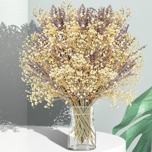 زهور اللافندر المجففة وحزم جيبسوفيلا أنفاس الطفل المجففة باقة عضوية طبيعية للمزهرية، ديكور المنزل، الزفاف، الحفلات، تنسيق الزهور، DIY in Kuwait