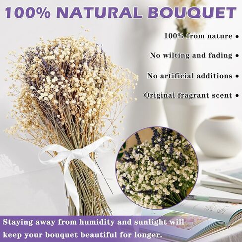 زهور اللافندر المجففة وحزم جيبسوفيلا أنفاس الطفل المجففة باقة عضوية طبيعية للمزهرية، ديكور المنزل، الزفاف، الحفلات، تنسيق الزهور، DIY in Kuwait