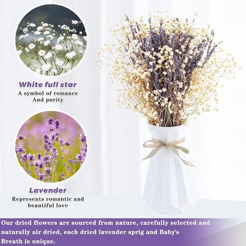 زهور اللافندر المجففة وحزم جيبسوفيلا أنفاس الطفل المجففة باقة عضوية طبيعية للمزهرية، ديكور المنزل، الزفاف، الحفلات، تنسيق الزهور، DIY in Kuwait