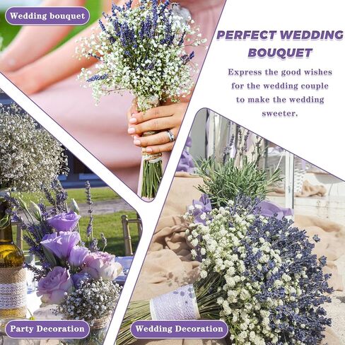 زهور اللافندر المجففة وحزم جيبسوفيلا أنفاس الطفل المجففة باقة عضوية طبيعية للمزهرية، ديكور المنزل، الزفاف، الحفلات، تنسيق الزهور، DIY in Kuwait