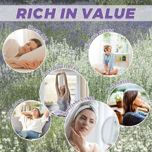 زهور اللافندر المجففة وحزم جيبسوفيلا أنفاس الطفل المجففة باقة عضوية طبيعية للمزهرية، ديكور المنزل، الزفاف، الحفلات، تنسيق الزهور، DIY in Kuwait