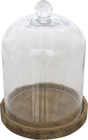 Stonebriar Small Stonebriar 8 Inch Clear Glass Dome Cloche with Rustic Wooden Base, Brown in Saudi Arabia