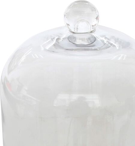 Stonebriar Small Stonebriar 8 Inch Clear Glass Dome Cloche with Rustic Wooden Base, Brown in Saudi Arabia