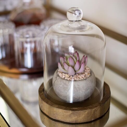 Stonebriar Small Stonebriar 8 Inch Clear Glass Dome Cloche with Rustic Wooden Base, Brown in Saudi Arabia