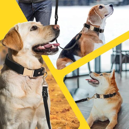 LWBMG 6FT Leather Dog Collar and Leash Set, Heavy Duty Dog Leash and Collar with Metal Buckle, Adjustable Pet Collar Set, Soft Puppy Leash and Collar Set for Medium Large Dogs Black in Saudi Arabia