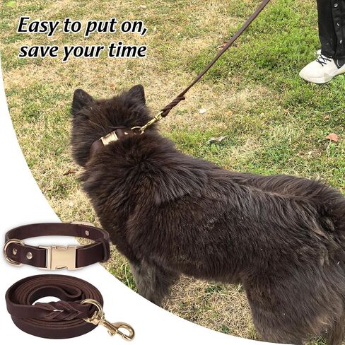 LWBMG 6FT Leather Dog Collar and Leash Set, Heavy Duty Dog Leash and Collar with Metal Buckle, Adjustable Pet Collar Set, Soft Puppy Leash and Collar Set for Medium Large Dogs Black in Saudi Arabia