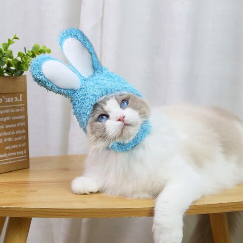 Pet Hat, 4 Pack Cat Headgear Rabbit Headband Bunny Ears Warm Hat Head Accessories Halloween Costume (4 Pack) in Kuwait