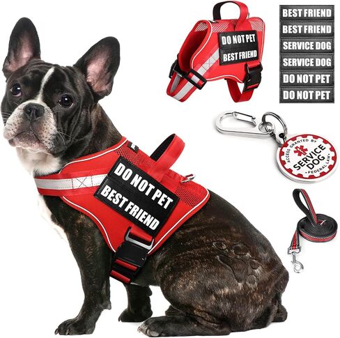 Service Dog Vest+ID Tag+Leash+6 Pcs Patches,Air Mesh Service Dog Harness with 2 Handles Dog Leash,2-Sided Metal Tag for Service Animals for Walking Training,No Pull Pet Harness Set Red S in Saudi Arabia