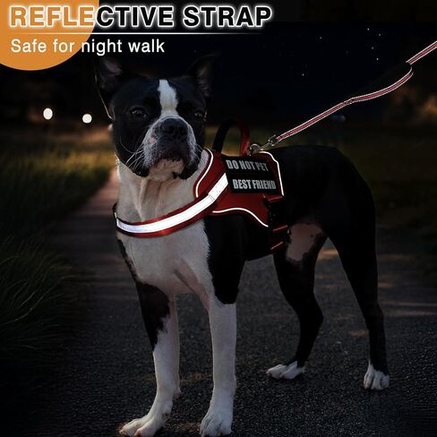 Service Dog Vest+ID Tag+Leash+6 Pcs Patches,Air Mesh Service Dog Harness with 2 Handles Dog Leash,2-Sided Metal Tag for Service Animals for Walking Training,No Pull Pet Harness Set Red S in Saudi Arabia